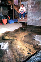 TOXIC OOZE in Frederick St. basement