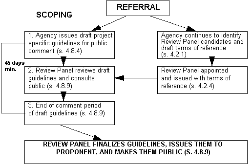 Figure 5 - Referral and Scoping